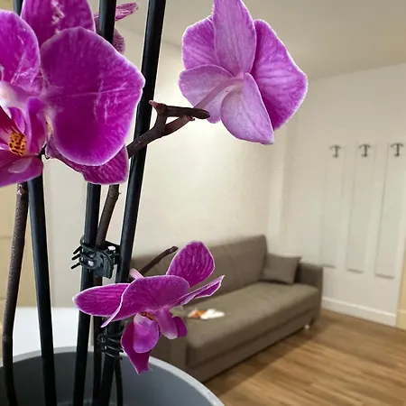 Giardino Della Giganza Frühstückspension Catania